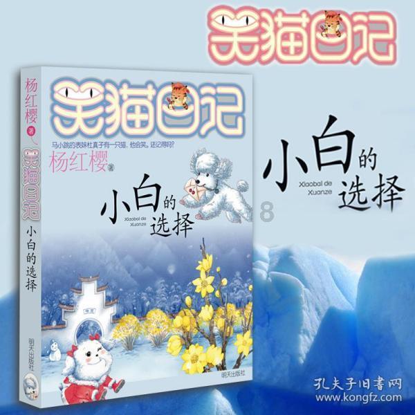 诱捕小浣熊